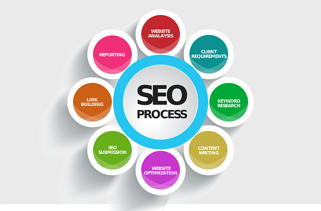Consultant SEO Consultant SEO